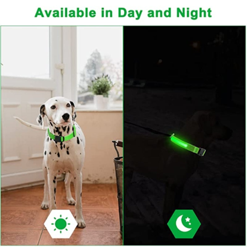 Glowing LED Dog Collar Adjustable & Rechargeable - All Pet Sizes