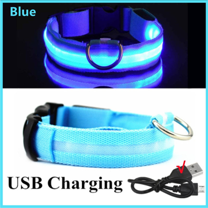 Glowing LED Dog Collar Adjustable & Rechargeable - All Pet Sizes