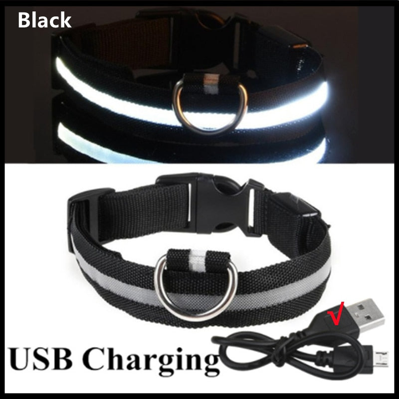 Glowing LED Dog Collar Adjustable & Rechargeable - All Pet Sizes