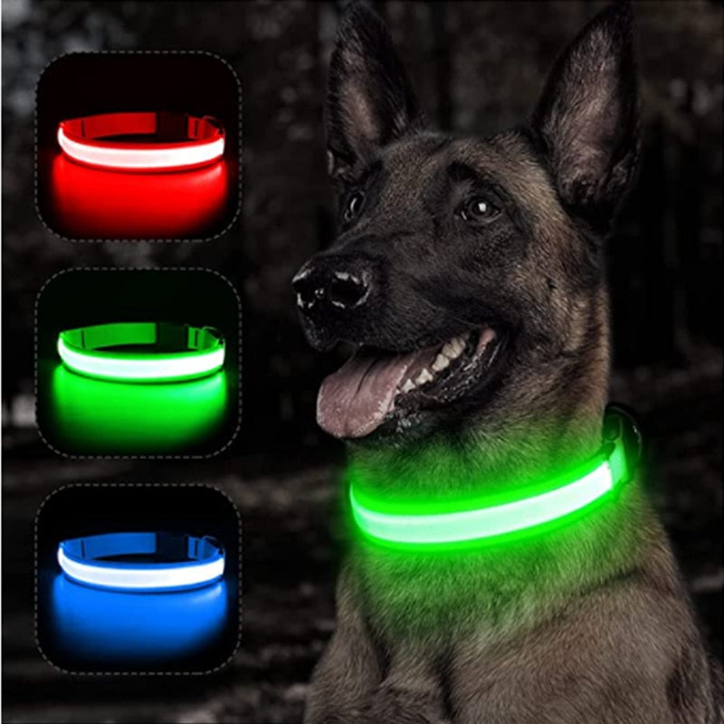 Glowing LED Dog Collar Adjustable & Rechargeable - All Pet Sizes