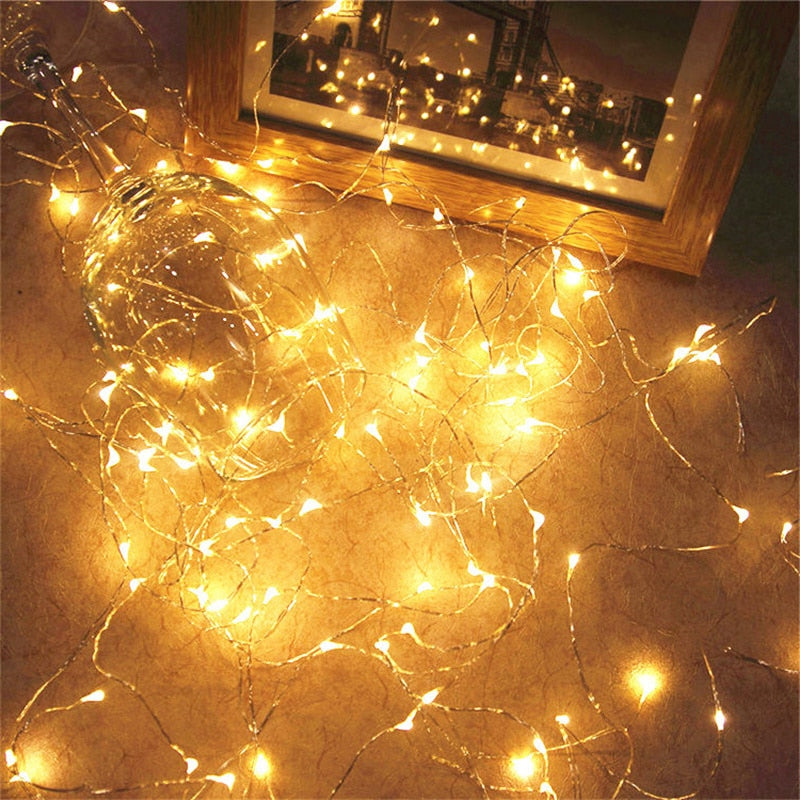 Outdoor Light String Battery Power Copper Wire 5 Colors LED